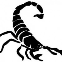 Scunny-Scorpion-logo